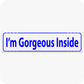 I'm Gorgeous Inside 6 x 24 Corrugated Rider - Blue